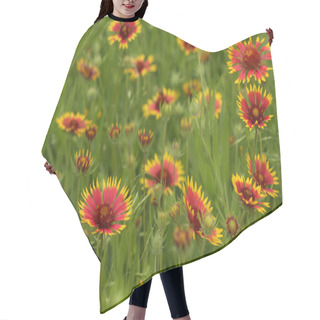 Personality  Texas Wildflowers Hair Cutting Cape