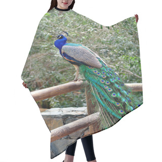 Personality  Peacock Hair Cutting Cape