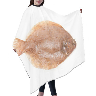 Personality  Lemon Sole Fish Isolated On A White Studio Background. Hair Cutting Cape