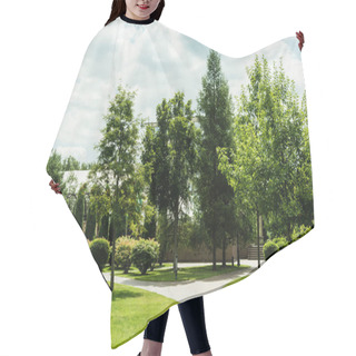Personality  Shadows On Green Fresh Grass Near Trees Against Sky And Clouds  Hair Cutting Cape