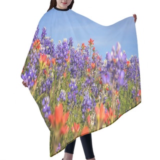 Personality  Wildflowers In Texas Hill Country - Bluebonnet And Indian Paintb Hair Cutting Cape