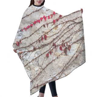 Personality  Ivy On Stone Wall, Abstract Background Hair Cutting Cape