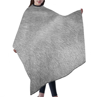 Personality  Background Of Cow Fur. Hair Cutting Cape