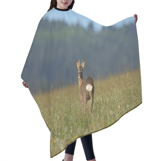 Personality  Fawn At Green Field In Sunlight Hair Cutting Cape
