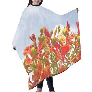 Personality  Peacock Flowers  Hair Cutting Cape