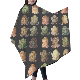 Personality  The Chachoan Horned Frogs Set Isolated On Black Hair Cutting Cape