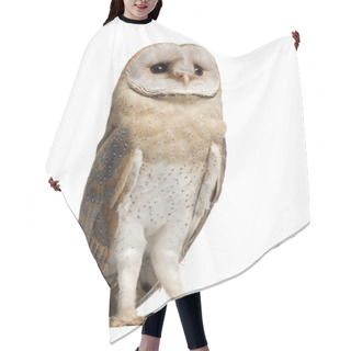 Personality  Barn Owl, Tyto Alba, 4 Months Old, Standing Against White Background Hair Cutting Cape