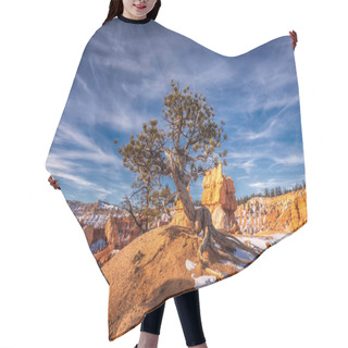 Personality  USA National Parks Hair Cutting Cape
