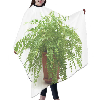 Personality  Fern In A Brown Pot Hair Cutting Cape