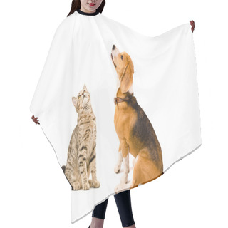 Personality  Funny Cat Scottish Straight And A Beagle Dog Hair Cutting Cape