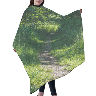 Personality  Path In Green Summer Forest With Sunlight Hair Cutting Cape