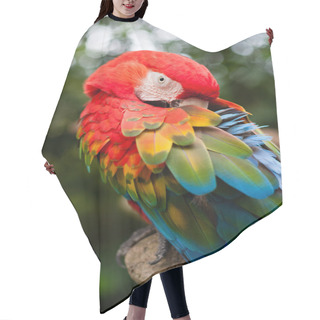 Personality  Colourful Parrot Macaw Hair Cutting Cape