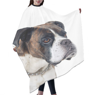 Personality  Boxer Dog Portrait Hair Cutting Cape