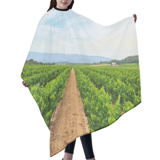 Personality  Vineyard In The Wine Region Hair Cutting Cape
