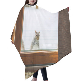 Personality  Squirrel Looking Inside Home Through Slider Door Hair Cutting Cape