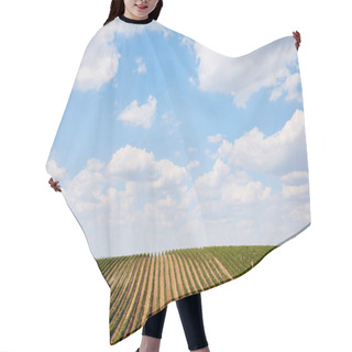 Personality  Field Hair Cutting Cape