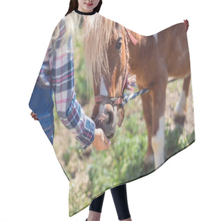 Personality  Cropped Image Of Kid Feeding Cute Pony At Farm Hair Cutting Cape