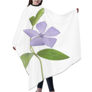 Personality  Periwinkle Flower Isolated On White Background Hair Cutting Cape