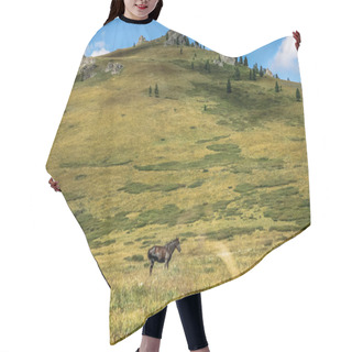 Personality  Horse Hair Cutting Cape