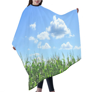 Personality  Field Of Corn In August Hair Cutting Cape