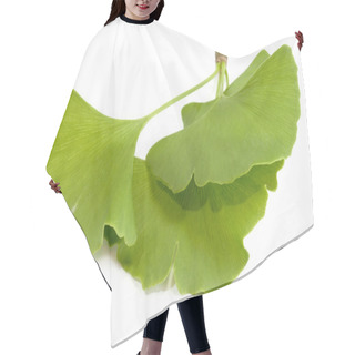 Personality  Ginkgo Hair Cutting Cape