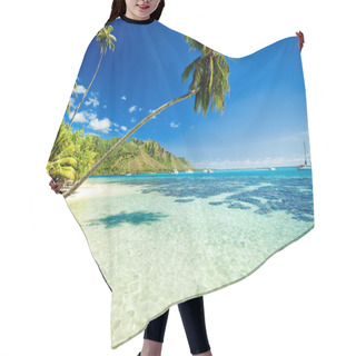 Personality  Palm Tree Hanging Over Stunning Lagoon Hair Cutting Cape