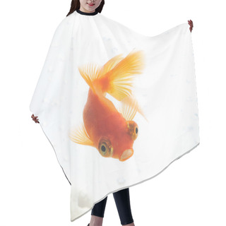 Personality  Goldfish Hair Cutting Cape