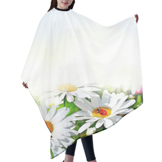 Personality  Wildflowers Daisies Hair Cutting Cape