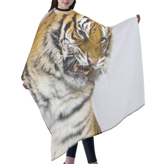 Personality  Tiger's Snarling Hair Cutting Cape