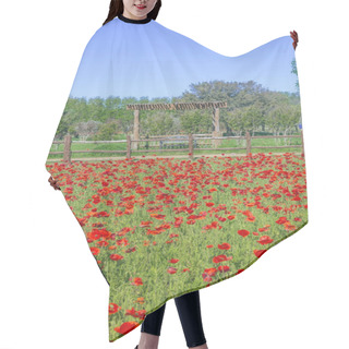 Personality  Field Of Red Corn Poppies In Fredericksburg, Texas Hair Cutting Cape