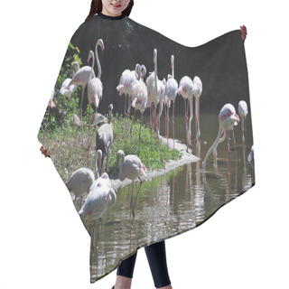 Personality  The Rose Flamingos On The River .  Hair Cutting Cape