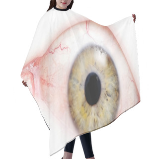 Personality  Scenic View Of Medicine Care Concept Hair Cutting Cape