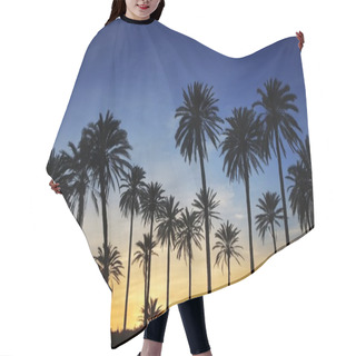 Personality  Palm Trees Sunset Golden Blue Sky Backlight Hair Cutting Cape