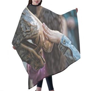 Personality  Hand Touching Fortune Boar In Florence Hair Cutting Cape