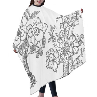 Personality  Home Adenium Plants, Flowering Plants From Africa And The Arabian Peninsula. Exotic And Tropical Elements. Engraved Hand Drawn In Old Sketch And Vintage Doodle Style. Hair Cutting Cape