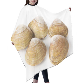 Personality  Raw Clams Hair Cutting Cape