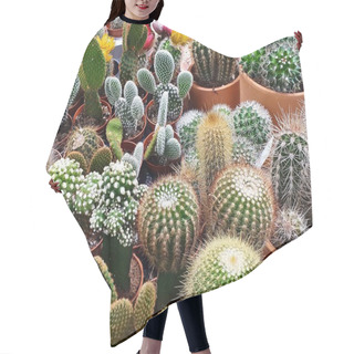 Personality  Variety Of Different Cacti As Full Frame Hair Cutting Cape