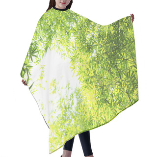 Personality  Bamboo Forest Hair Cutting Cape