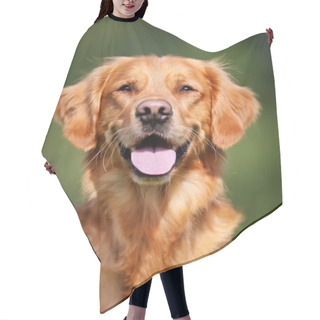 Personality  Golden Retriever Dog Hair Cutting Cape