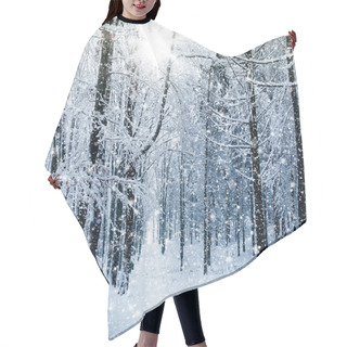 Personality  Winter Forest Hair Cutting Cape