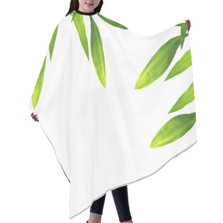 Personality  Beautiful Bamboo Leaves Border On White Hair Cutting Cape
