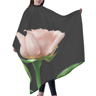 Personality  Rose Flower Hair Cutting Cape