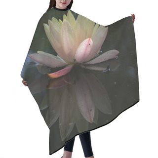 Personality  Waterlily 4 Hair Cutting Cape
