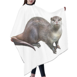 Personality  Otter (Lutra Lutra), Illustration For Animal Encyclopedia, Realistic Drawing, Isolated Image On White Background Hair Cutting Cape