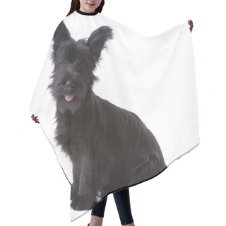 Personality  Skye Terrier Puppy Hair Cutting Cape