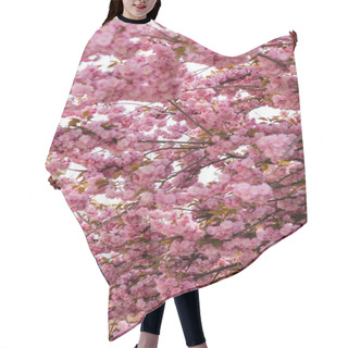Personality  Pink Flowers On Branches Of Blooming Japanese Cherry Tree  Hair Cutting Cape