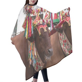 Personality  Oxen Hair Cutting Cape