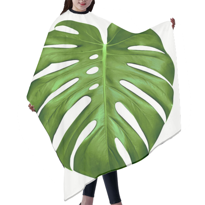 Personality  Monstera leaf. hair cutting cape