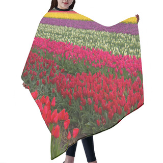 Personality  Stripes Of Dutch Tulips Hair Cutting Cape