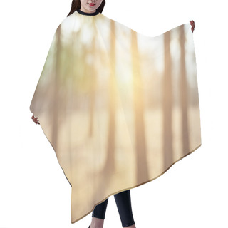 Personality  Abstract Blurred Nature Background With Sunlight Hair Cutting Cape